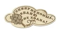табличка для бани "спинку не помыл, в баню не ходил" д/с  . банный эксперт